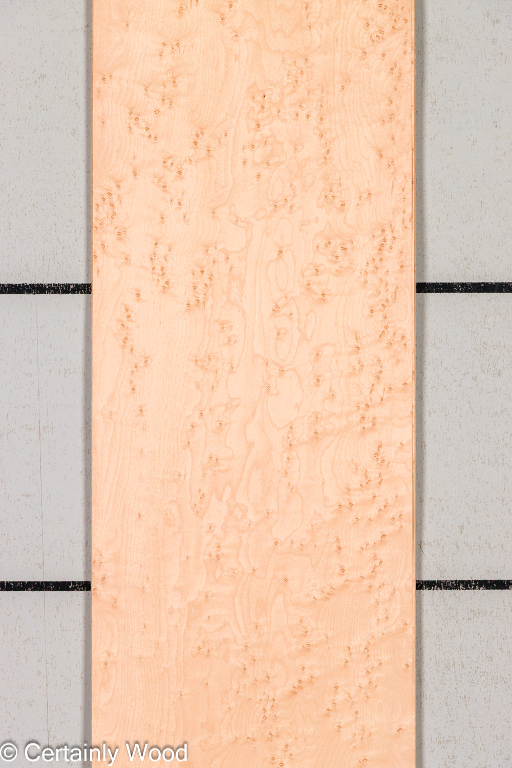 Featured Product Image