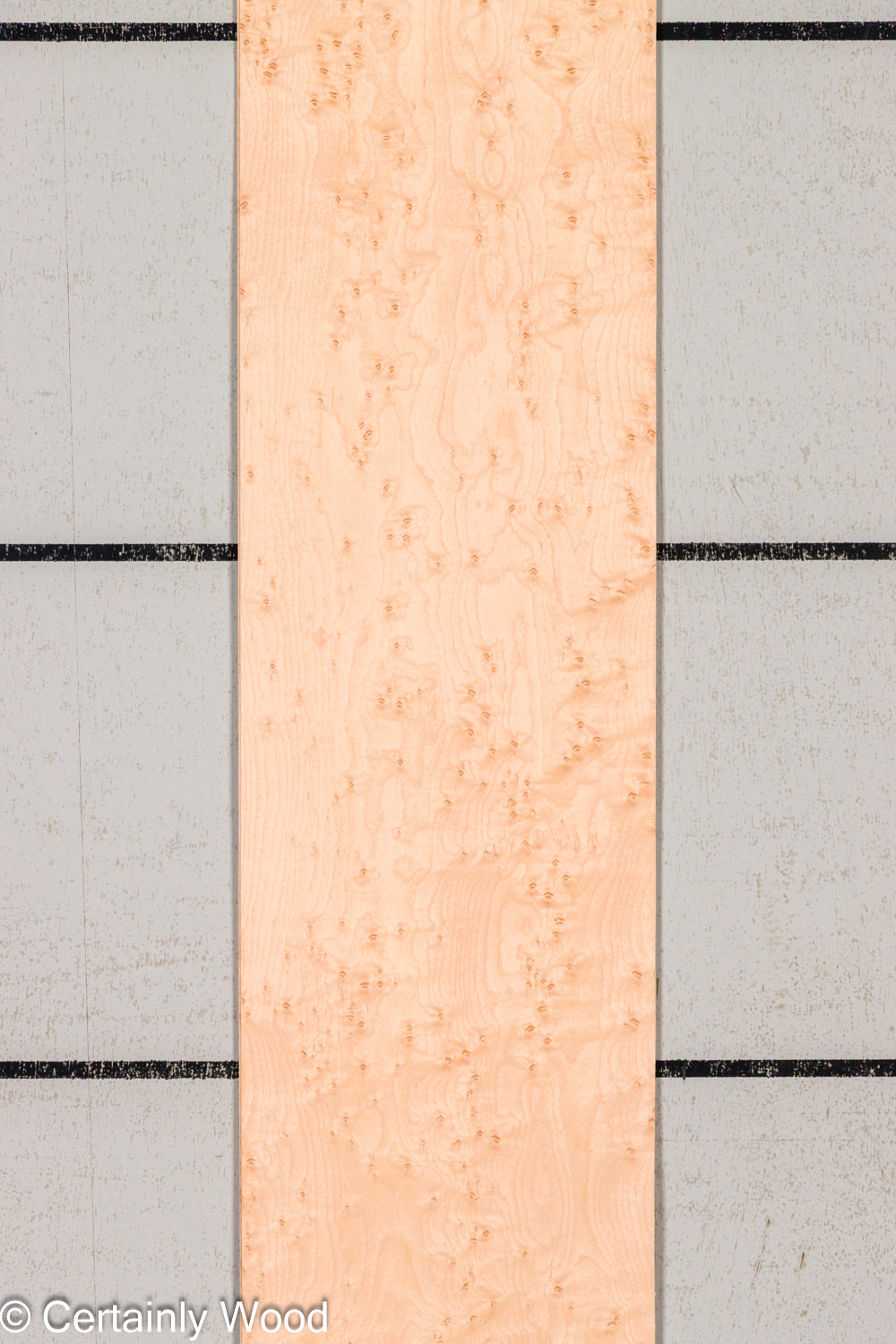 Featured Product Image