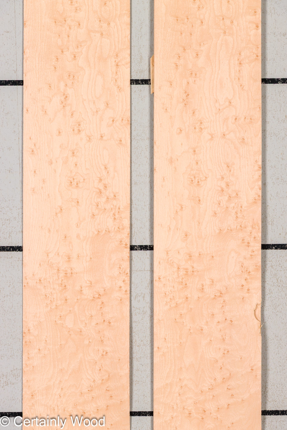 Featured Product Image