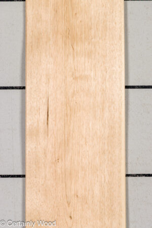 BUTTERNUT 26343-1