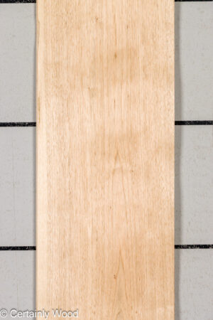 BUTTERNUT 26343-2B