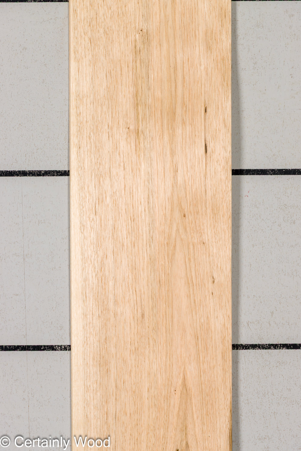 Featured Product Image