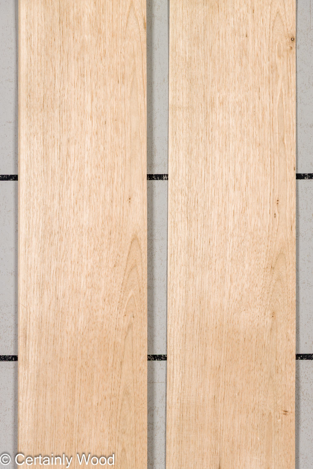 Featured Product Image