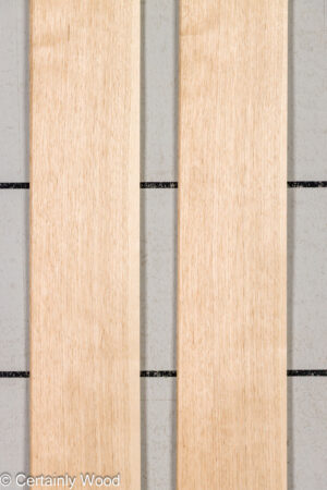 BUTTERNUT 26343-4