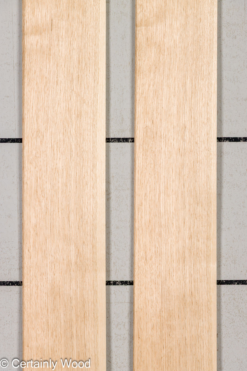 Featured Product Image