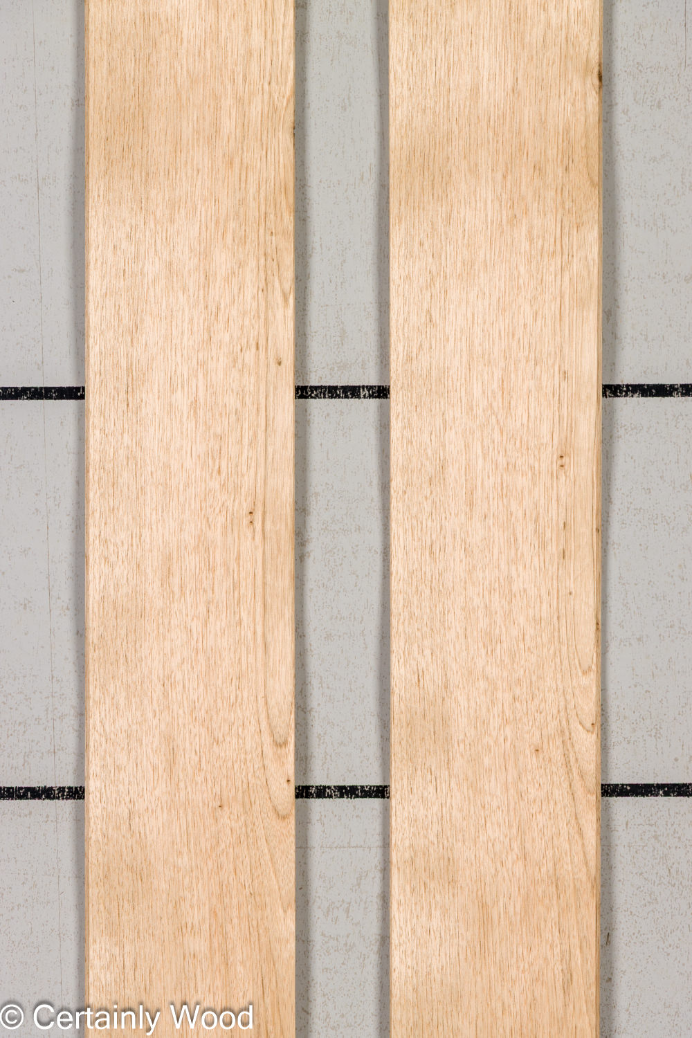Featured Product Image