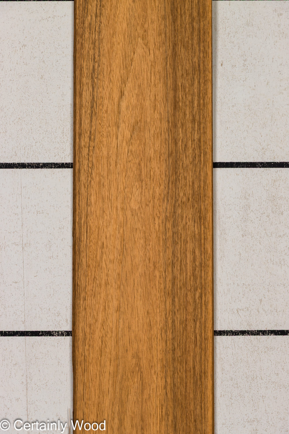 Featured Product Image