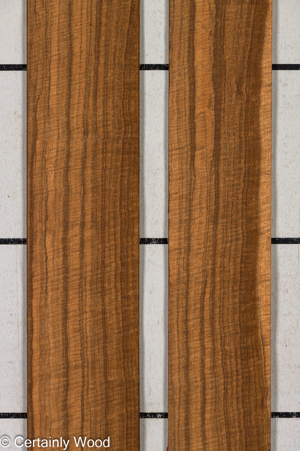 Featured Product Image