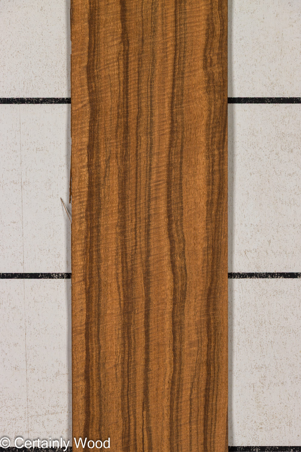 Featured Product Image