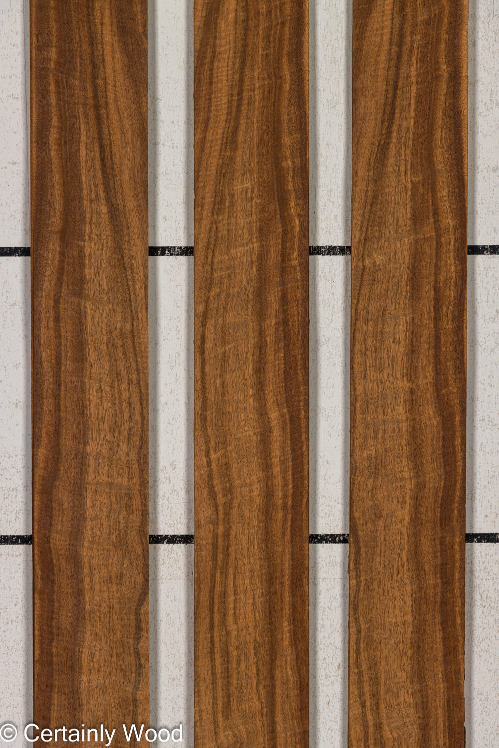 Featured Product Image