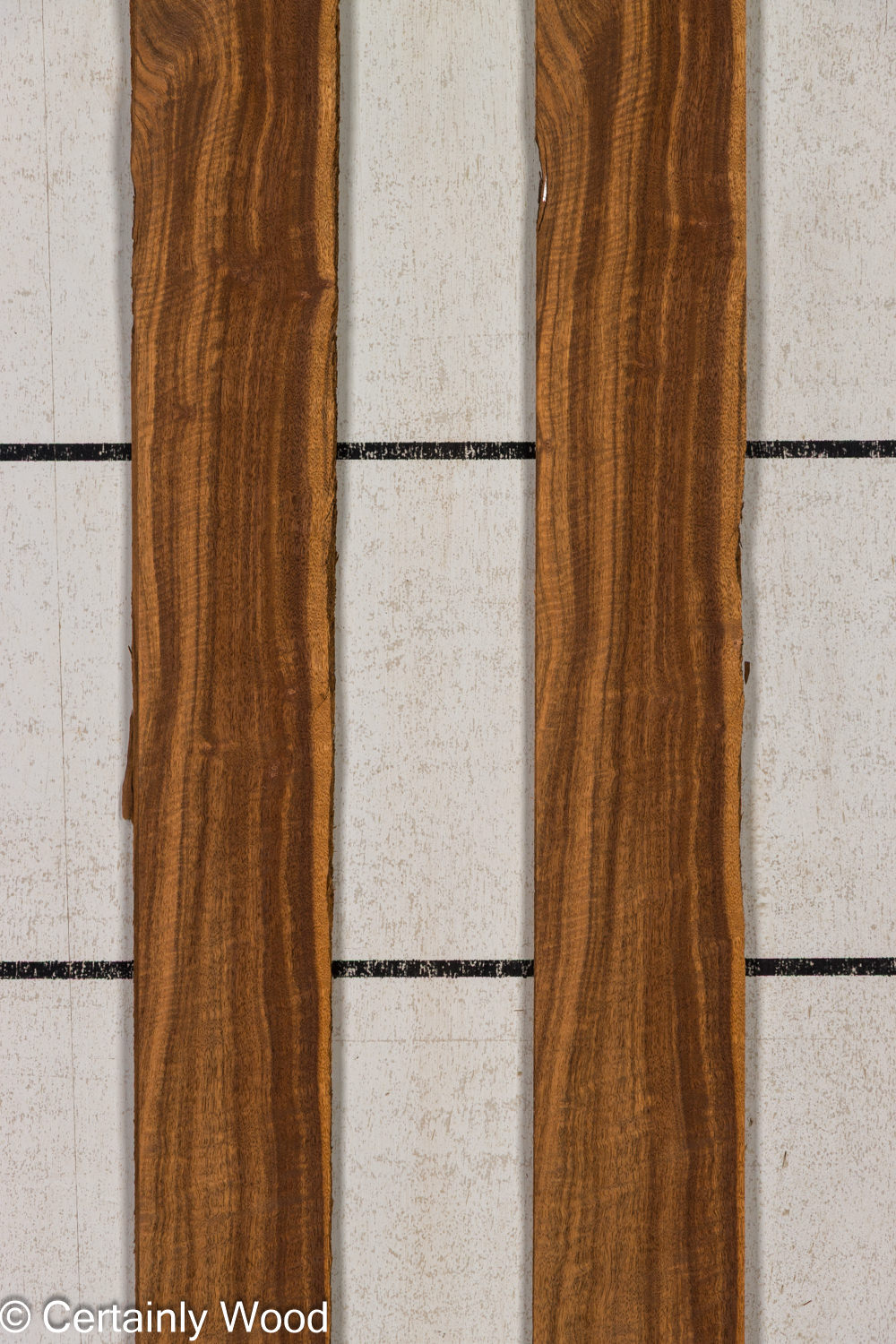 Featured Product Image