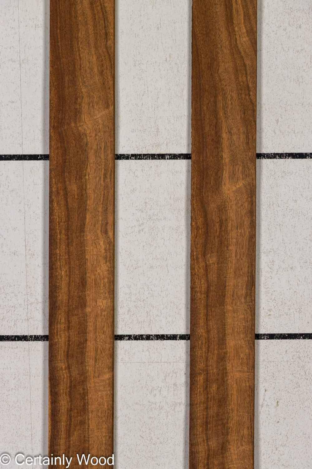 Featured Product Image