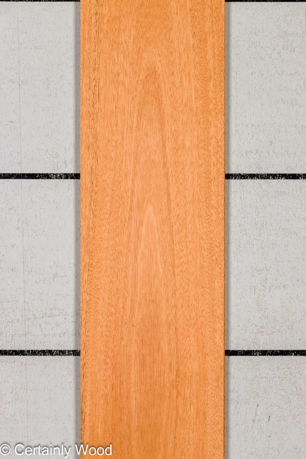 Featured Product Image