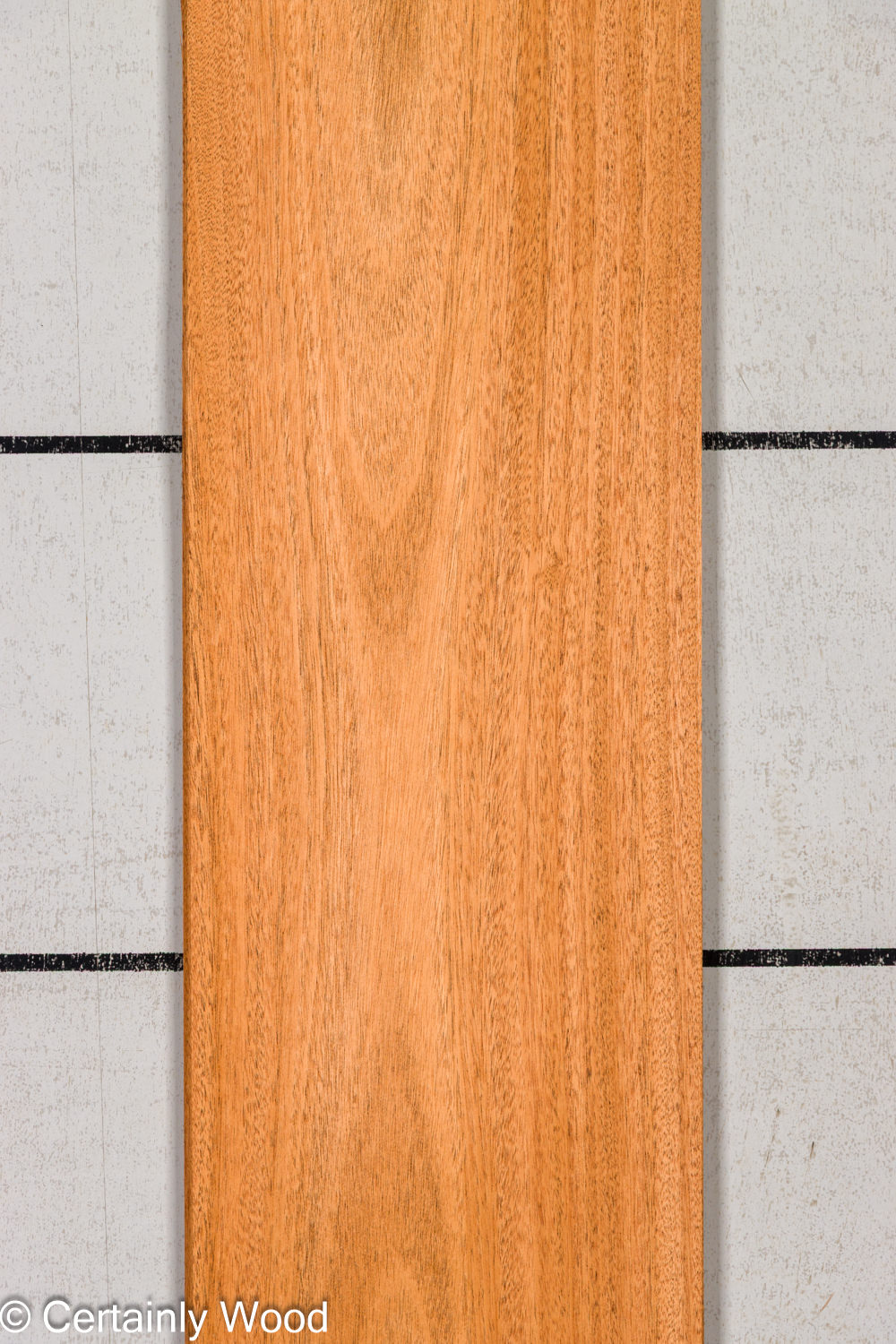 Featured Product Image