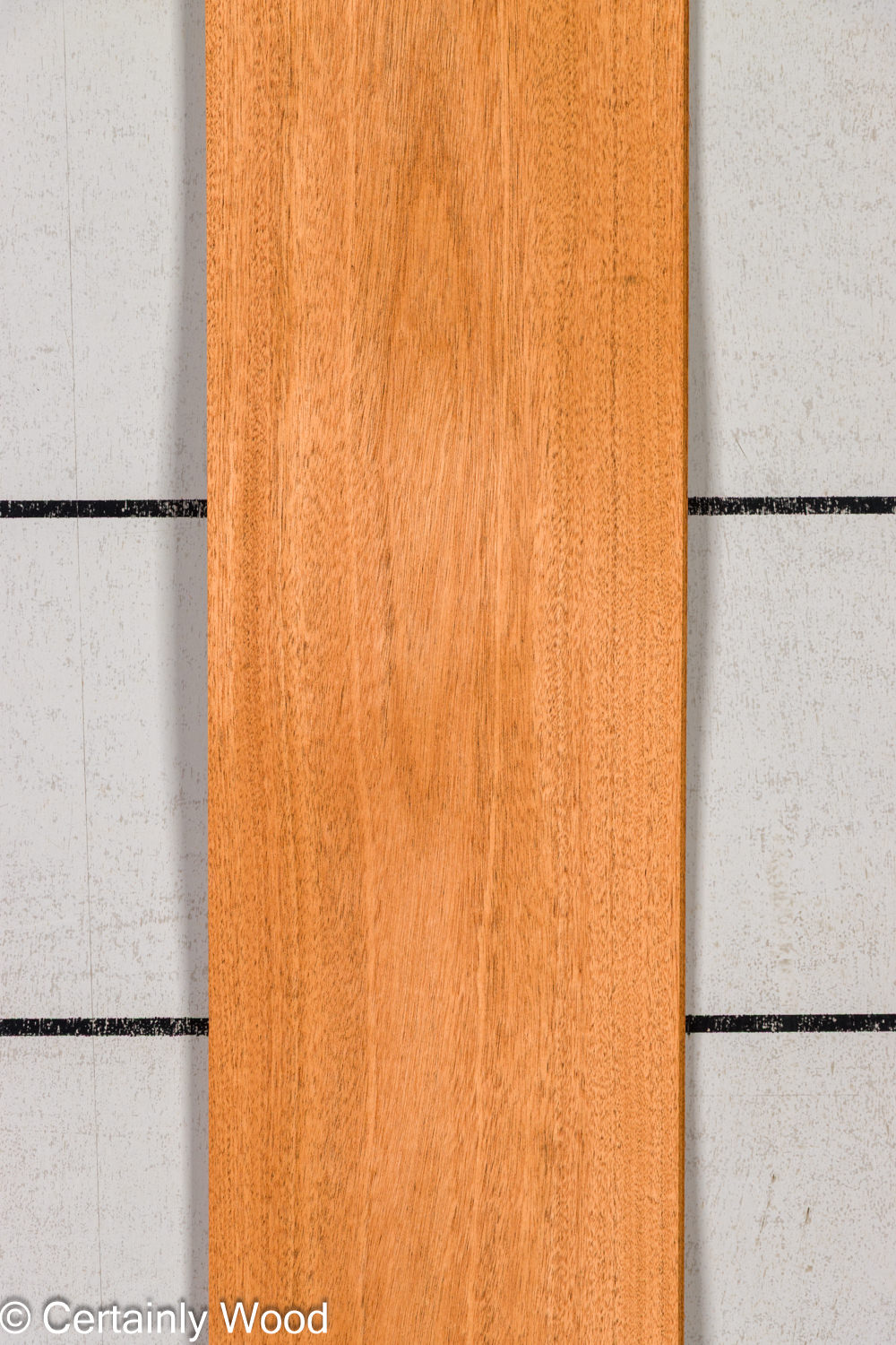 Featured Product Image