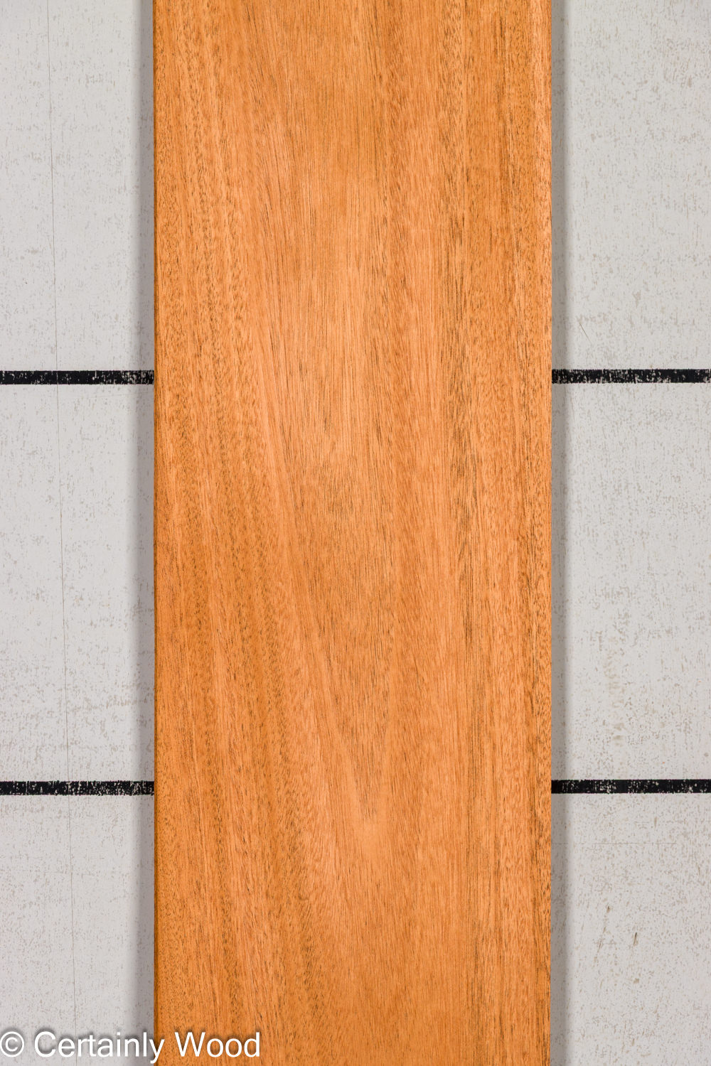 Featured Product Image