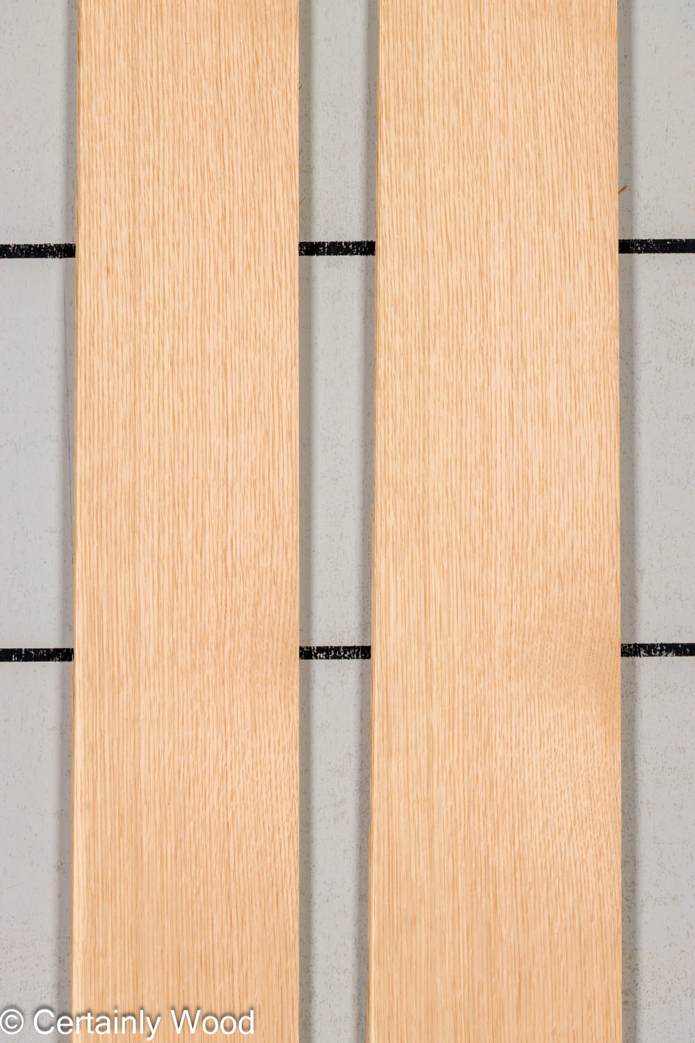 Featured Product Image