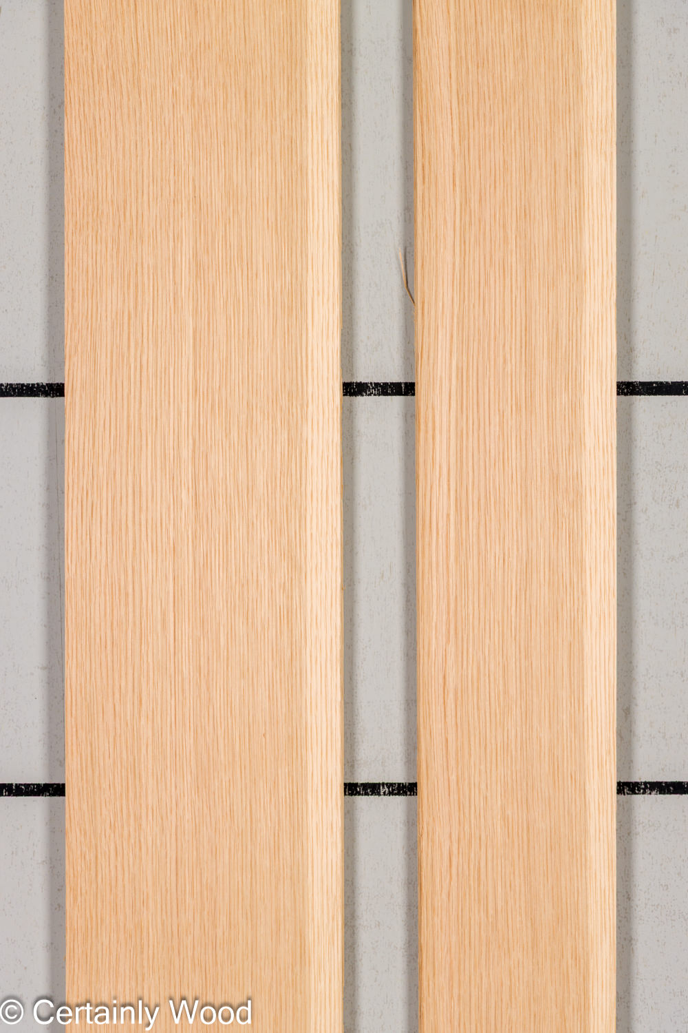 Featured Product Image