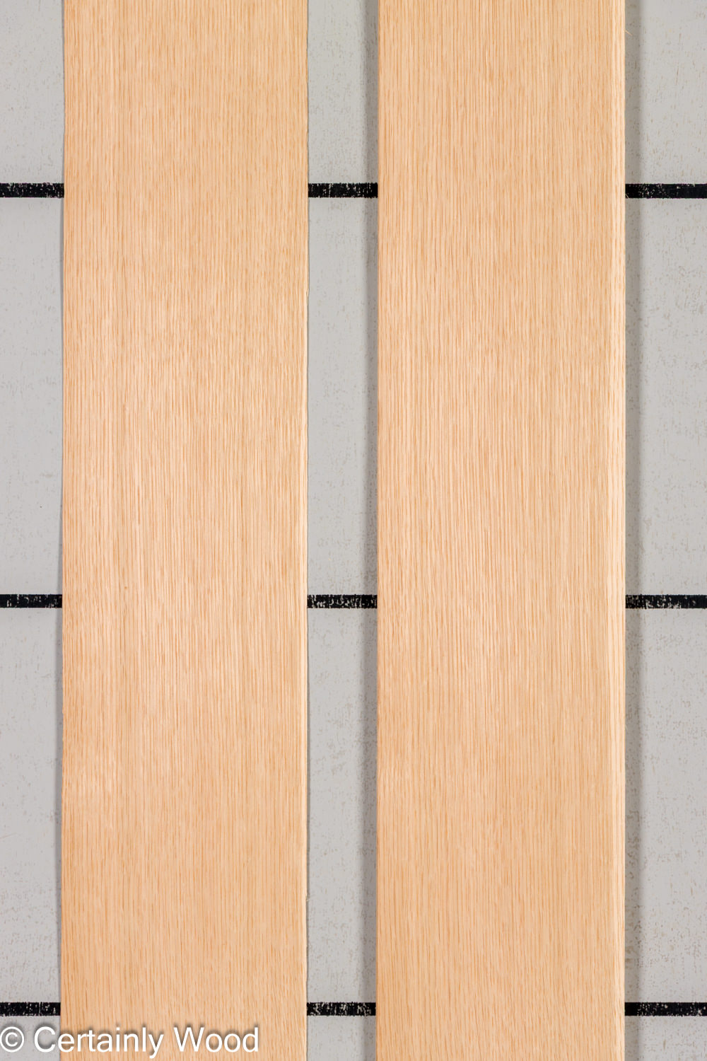 Featured Product Image