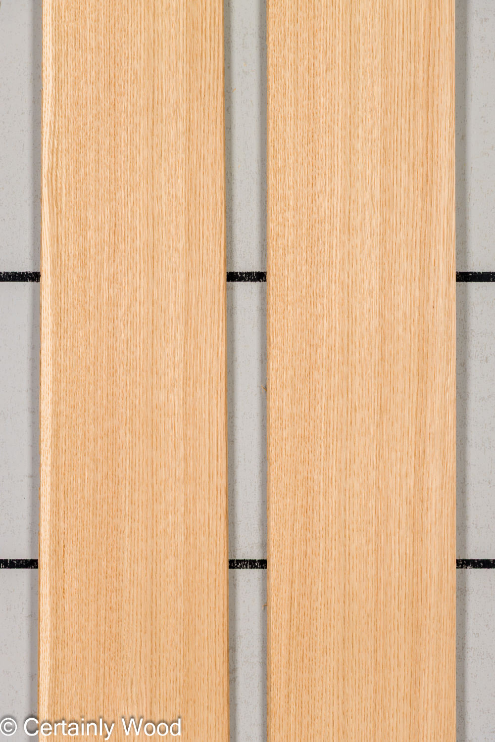 Featured Product Image