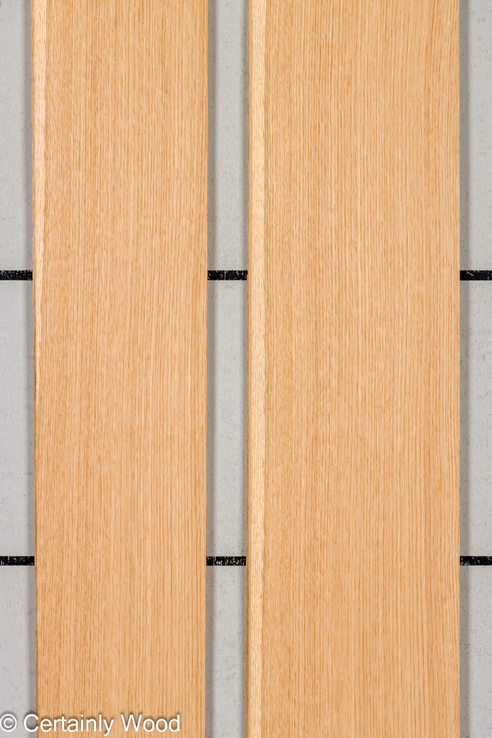 Featured Product Image