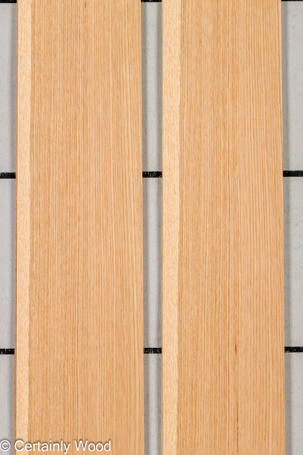 Featured Product Image