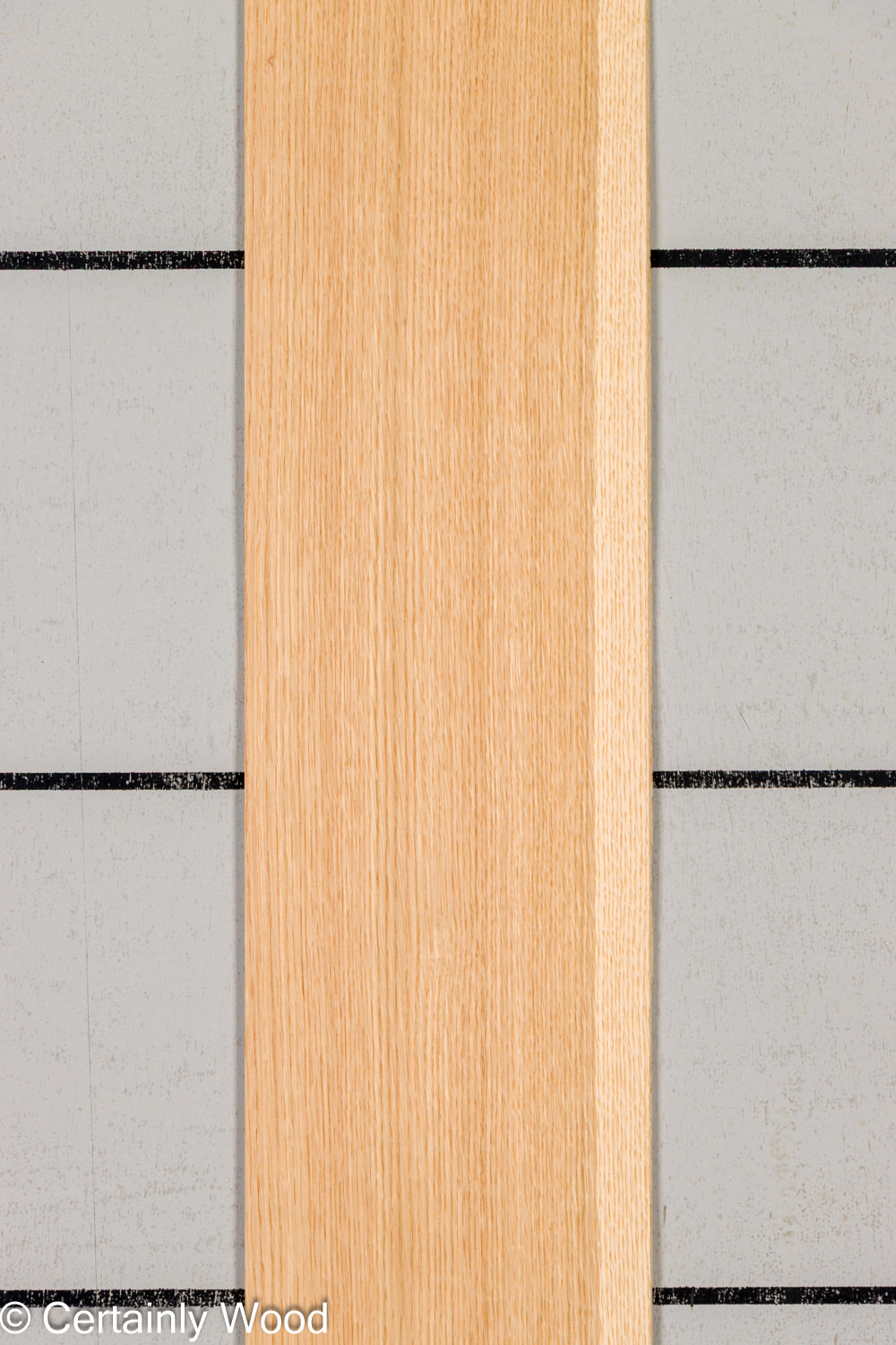 Featured Product Image