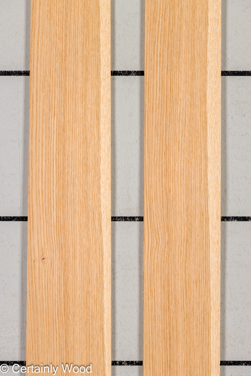 Featured Product Image