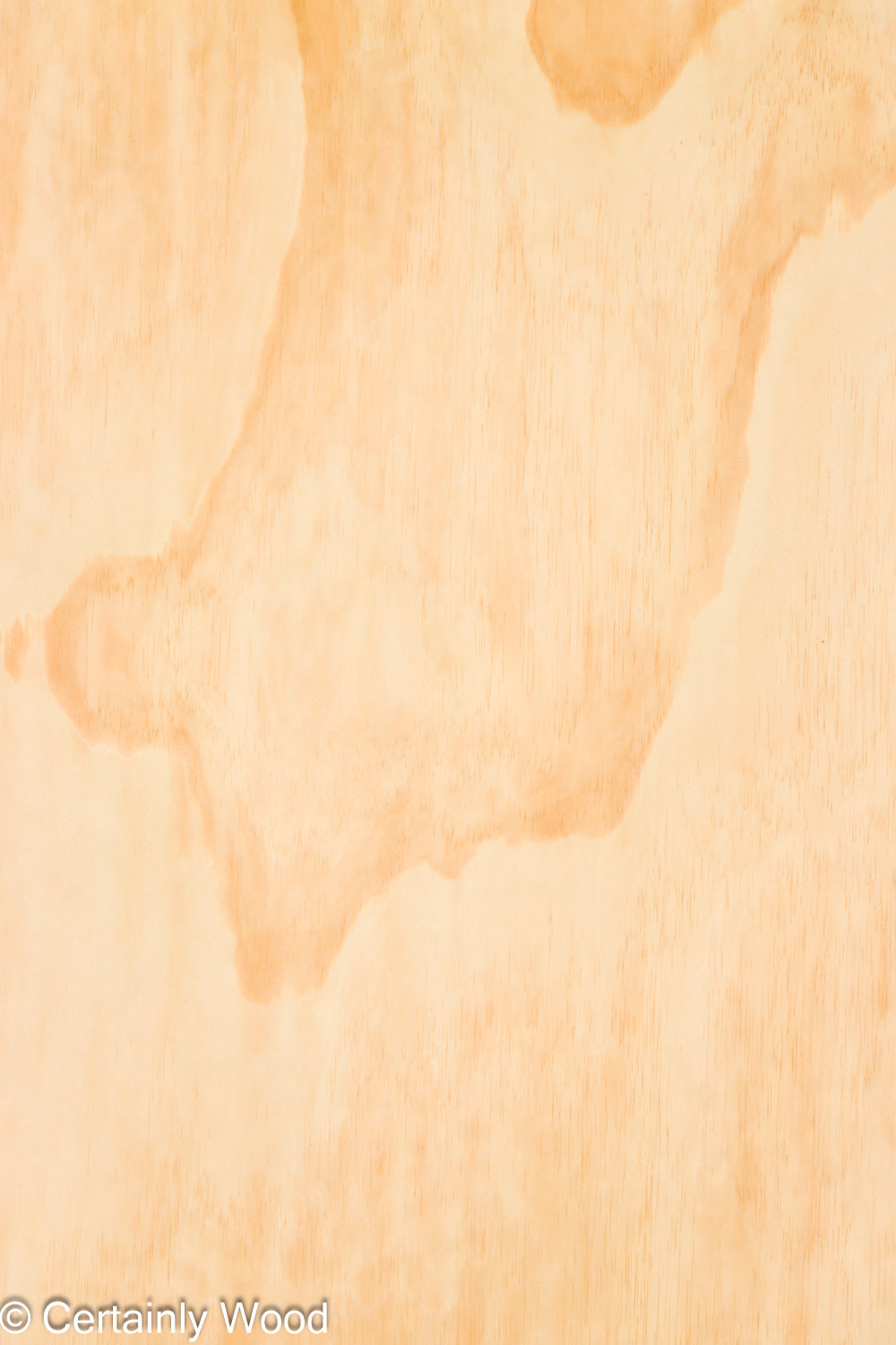 Featured Product Image