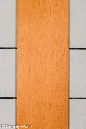 SP CEDAR 26344