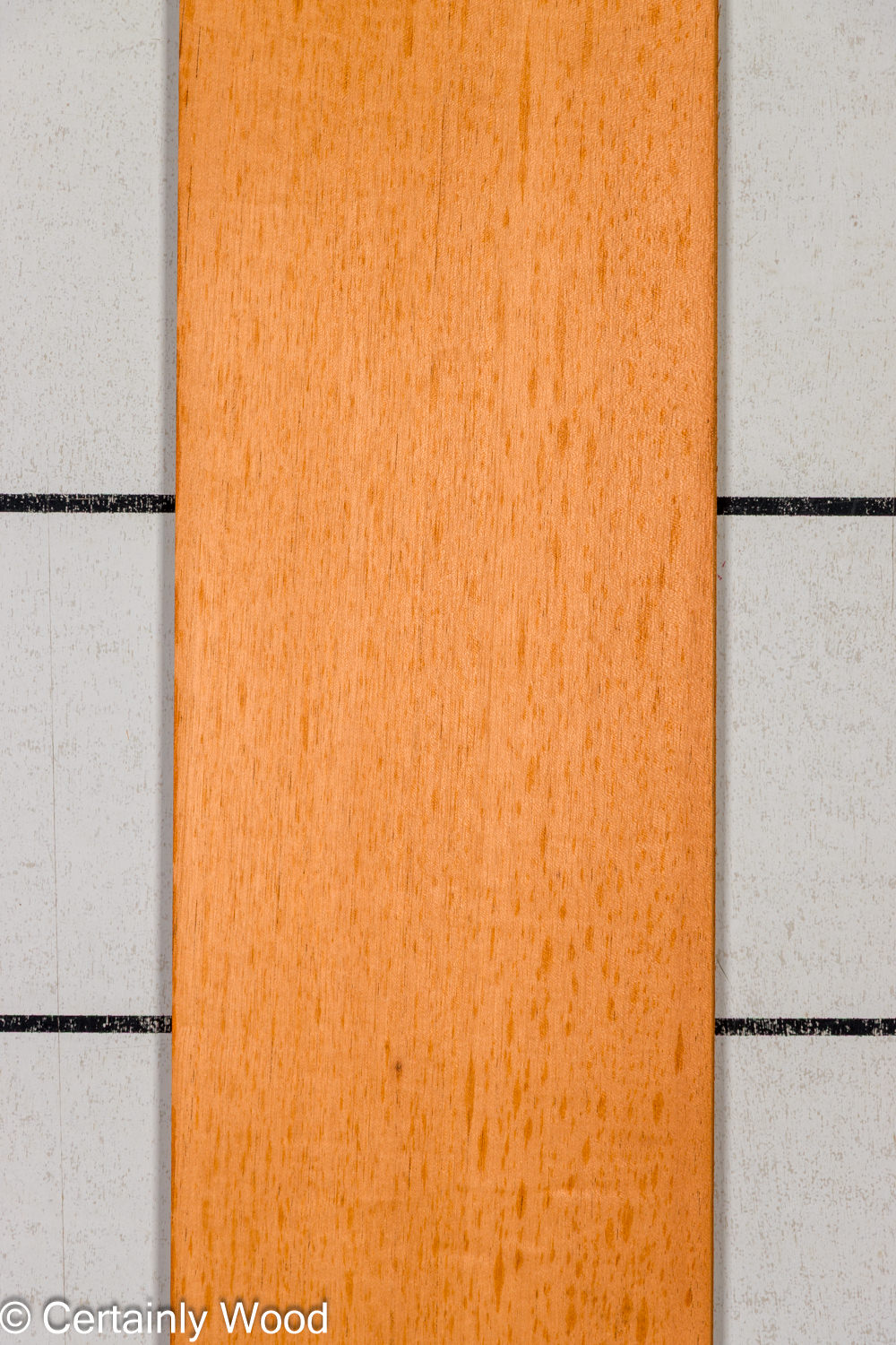 Featured Product Image