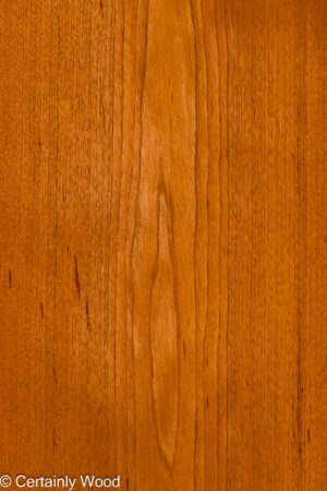 SP CEDAR 26345-1