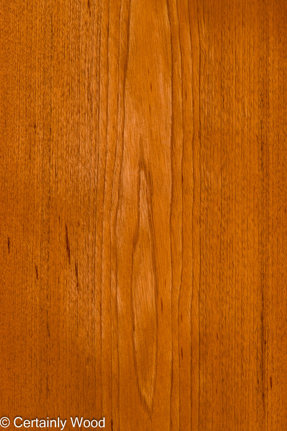 Featured Product Image