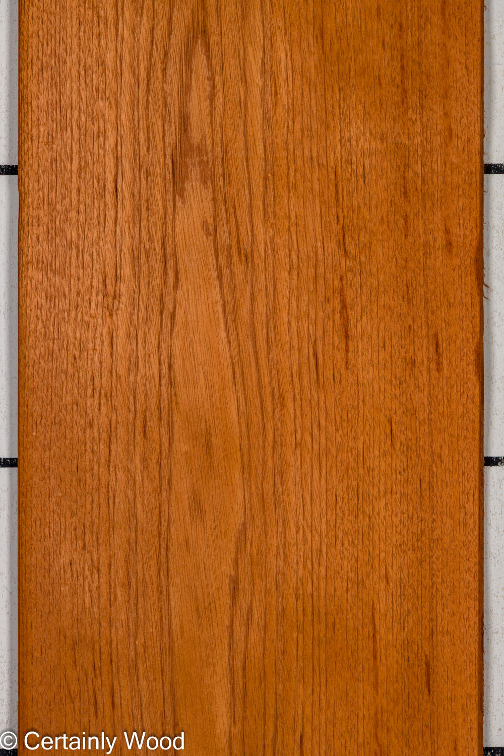 Featured Product Image