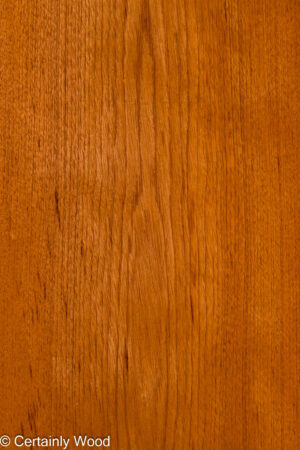 SP CEDAR 26345-3
