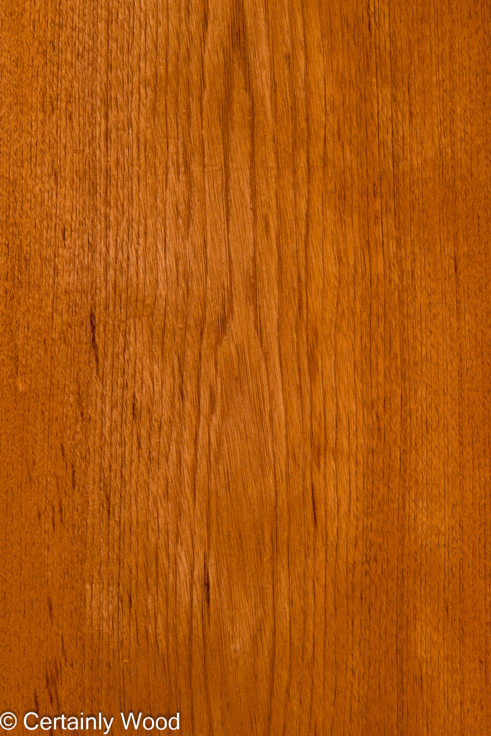 Featured Product Image
