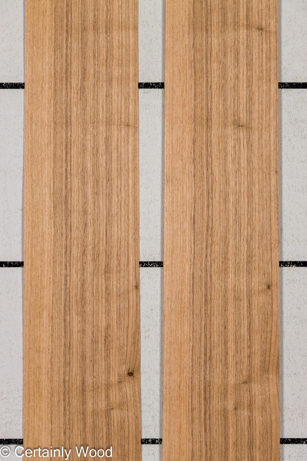 Featured Product Image