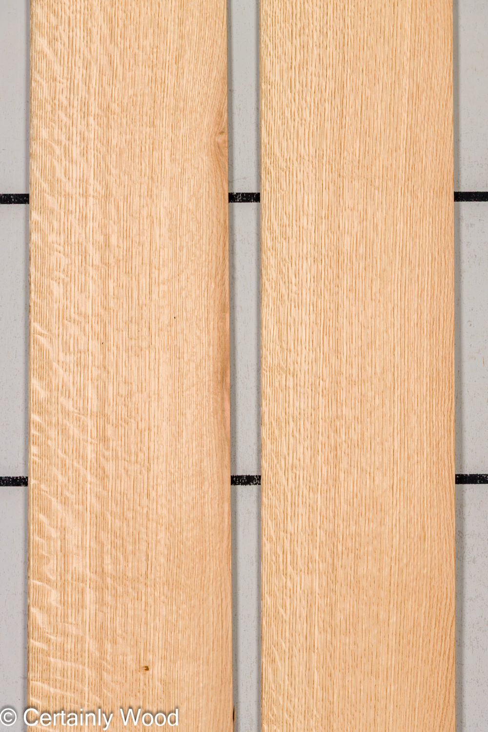 Featured Product Image