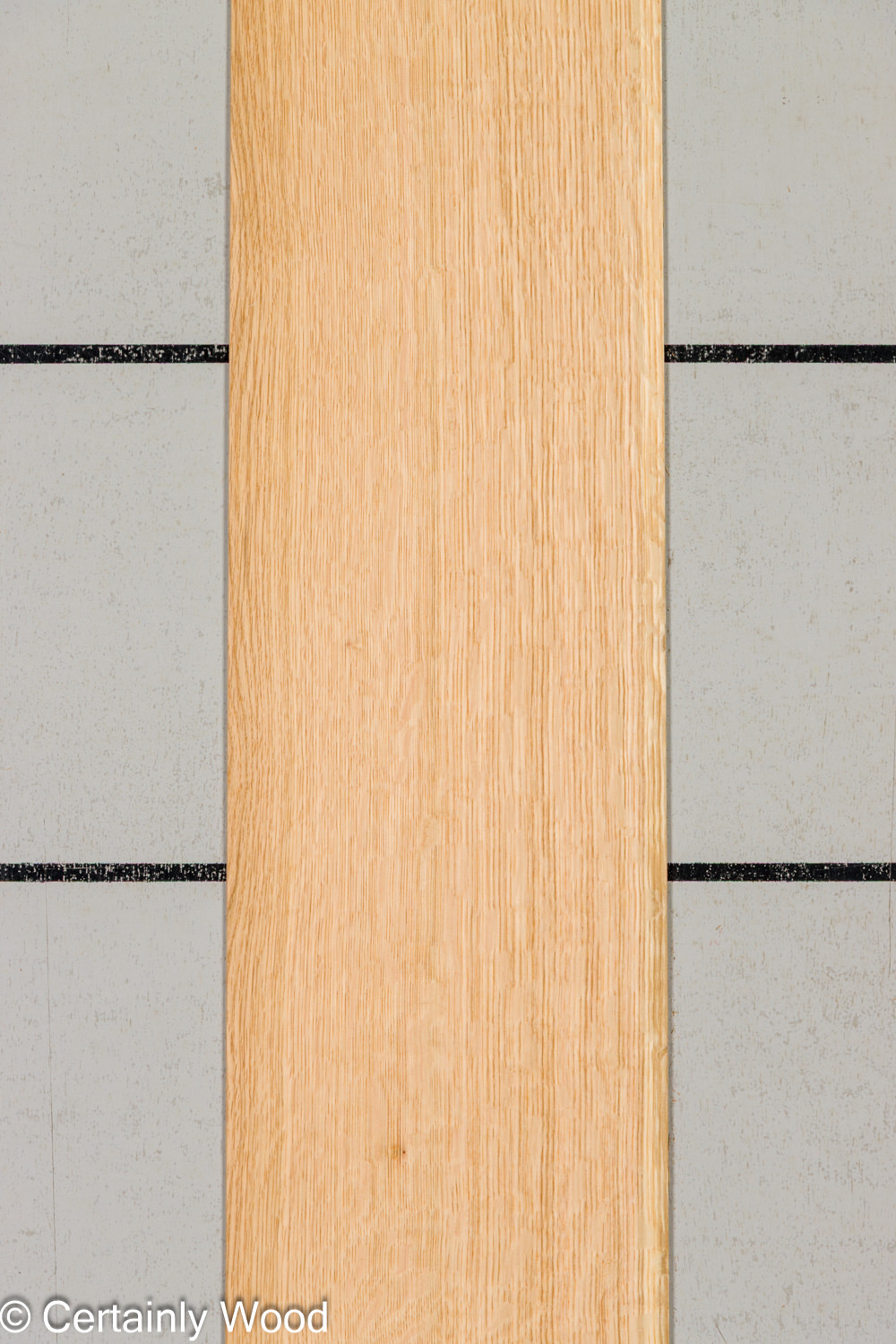 Featured Product Image