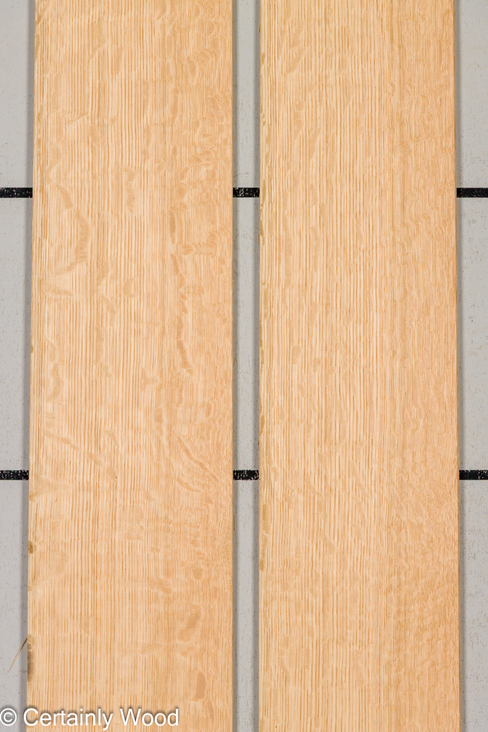 Featured Product Image