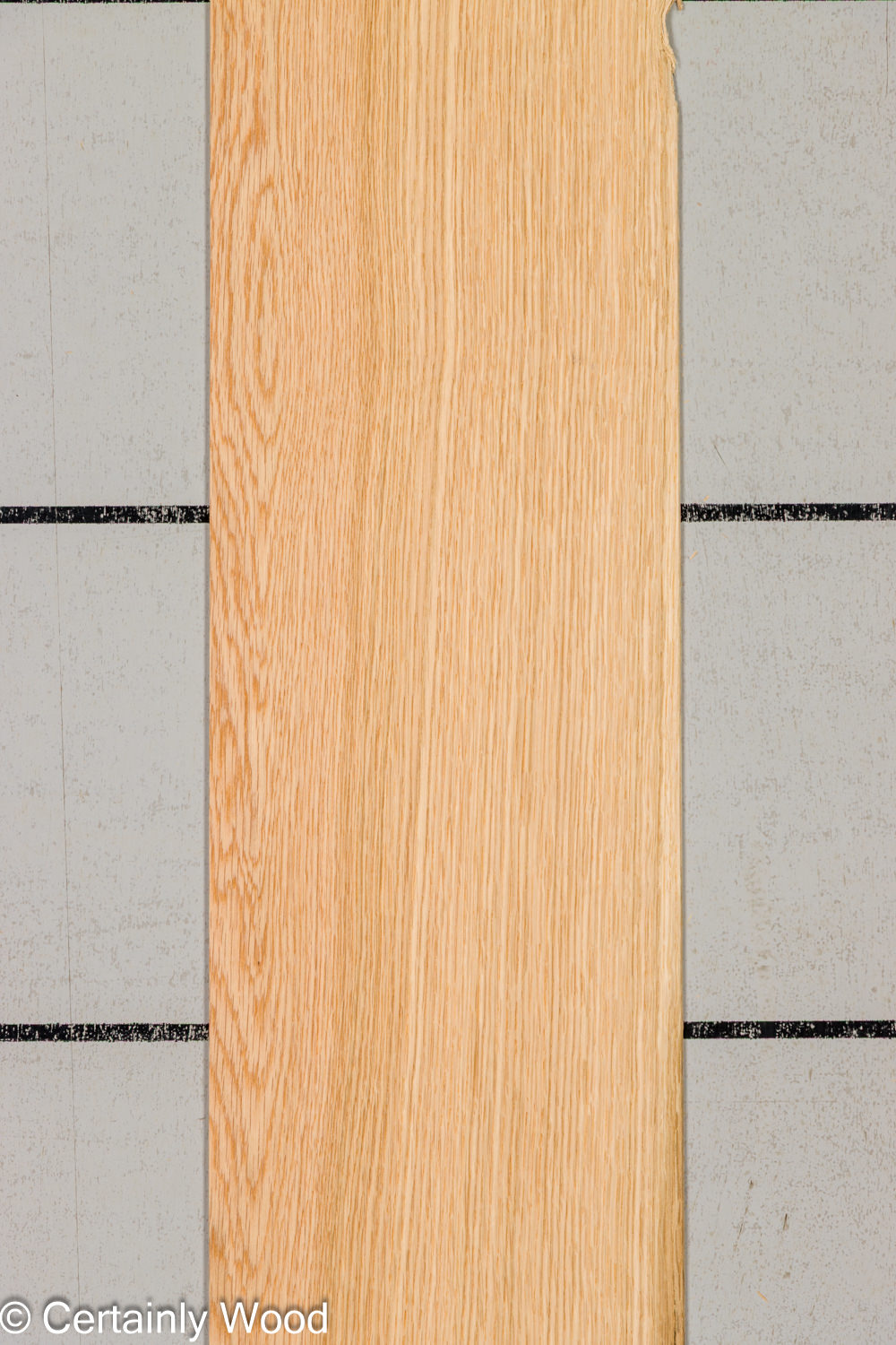 Featured Product Image