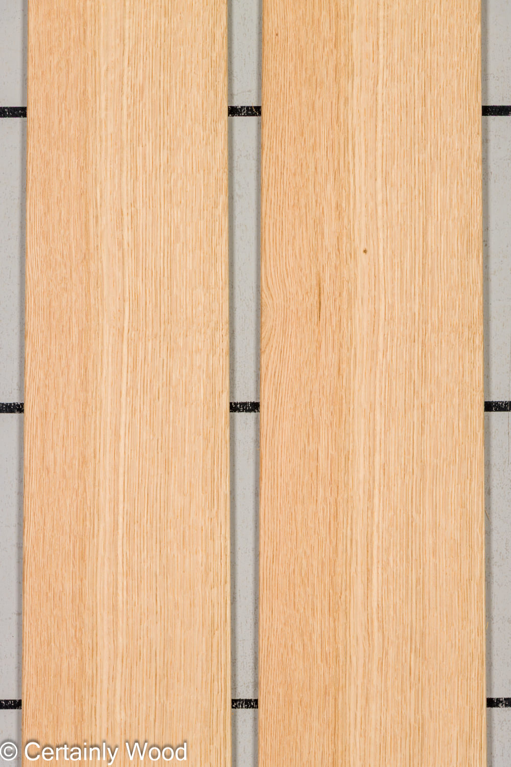 Featured Product Image
