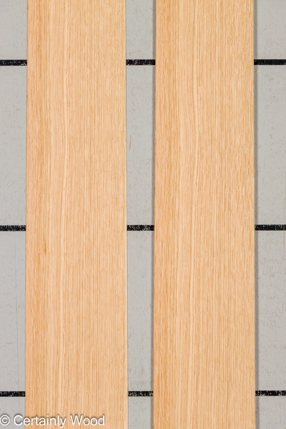 Featured Product Image
