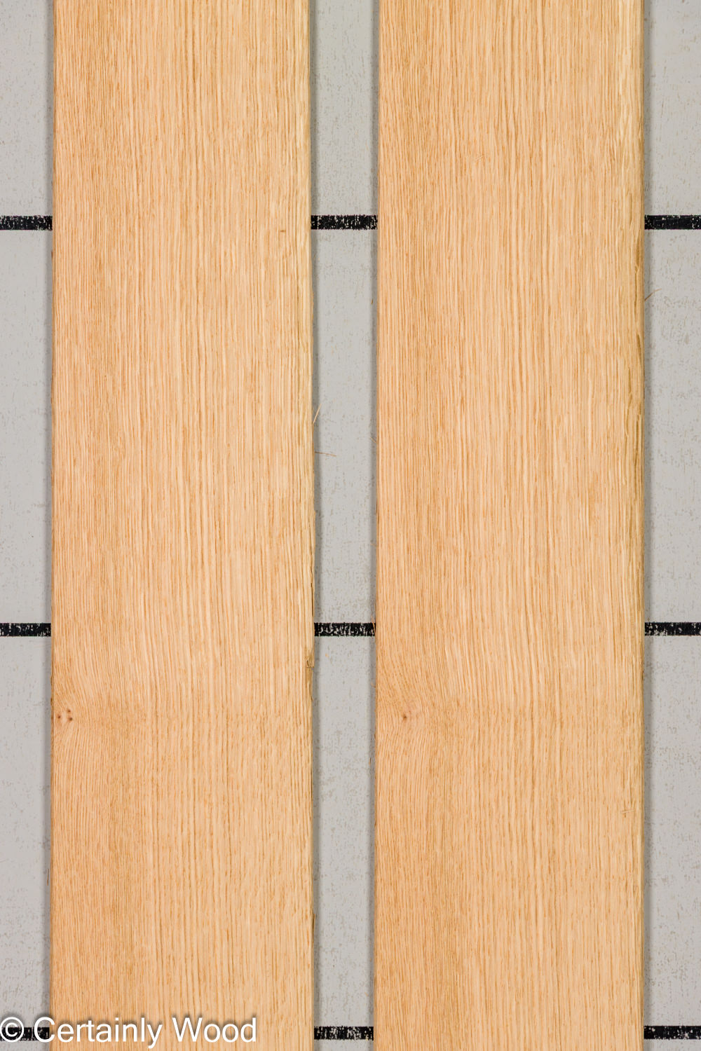 Featured Product Image