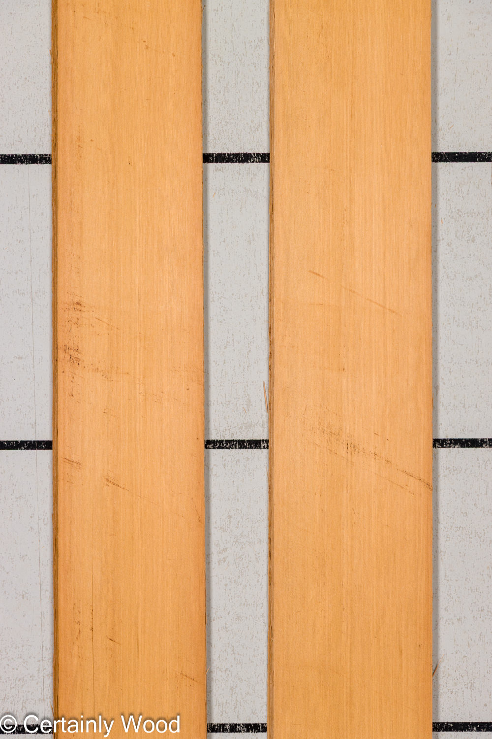 Featured Product Image