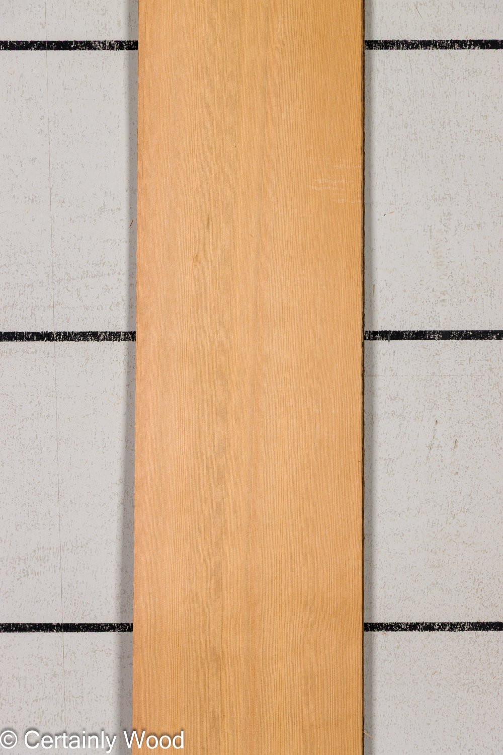 Featured Product Image