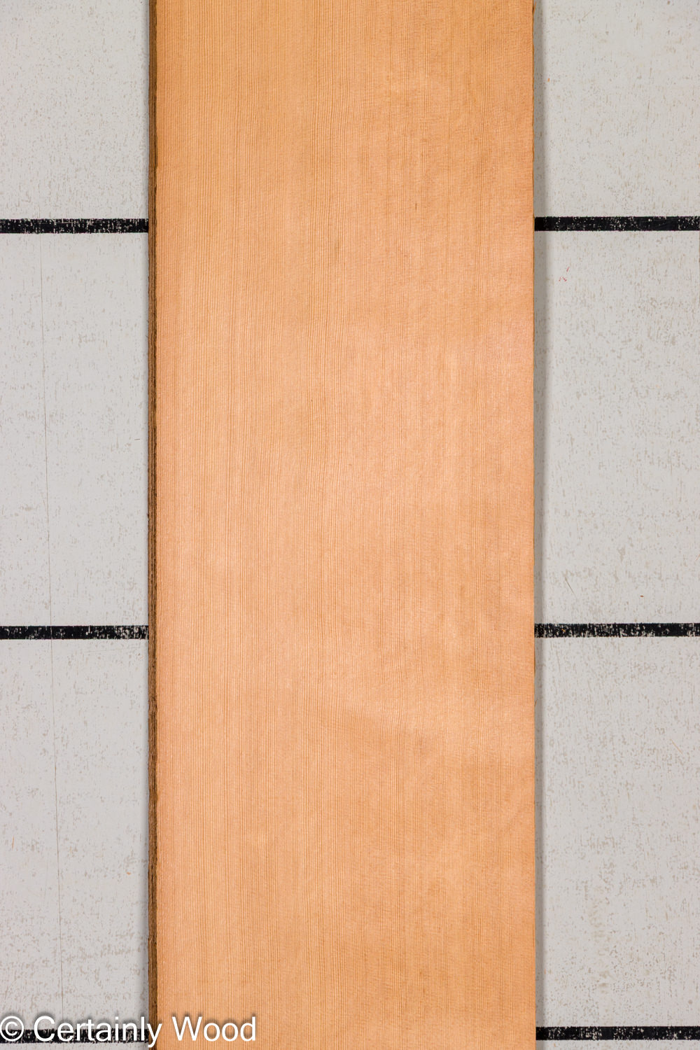 Featured Product Image