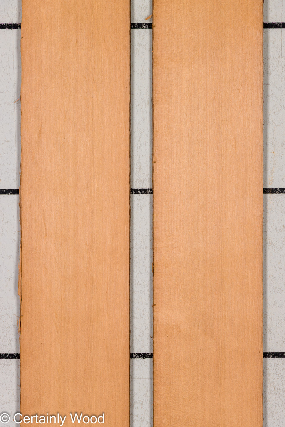 Featured Product Image