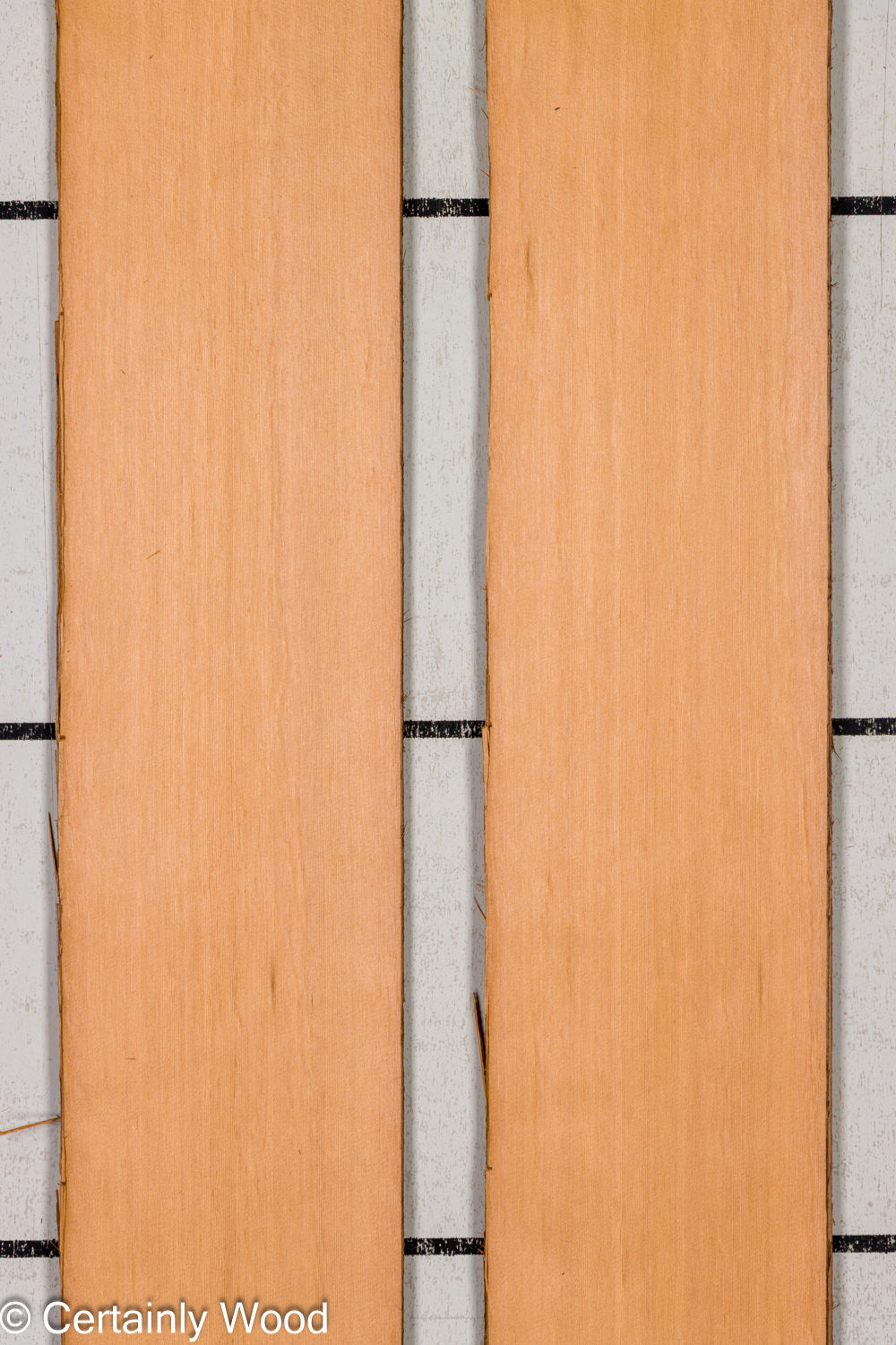 Featured Product Image