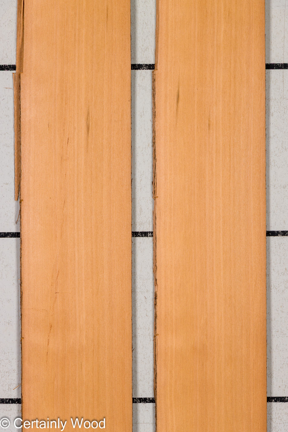 Featured Product Image